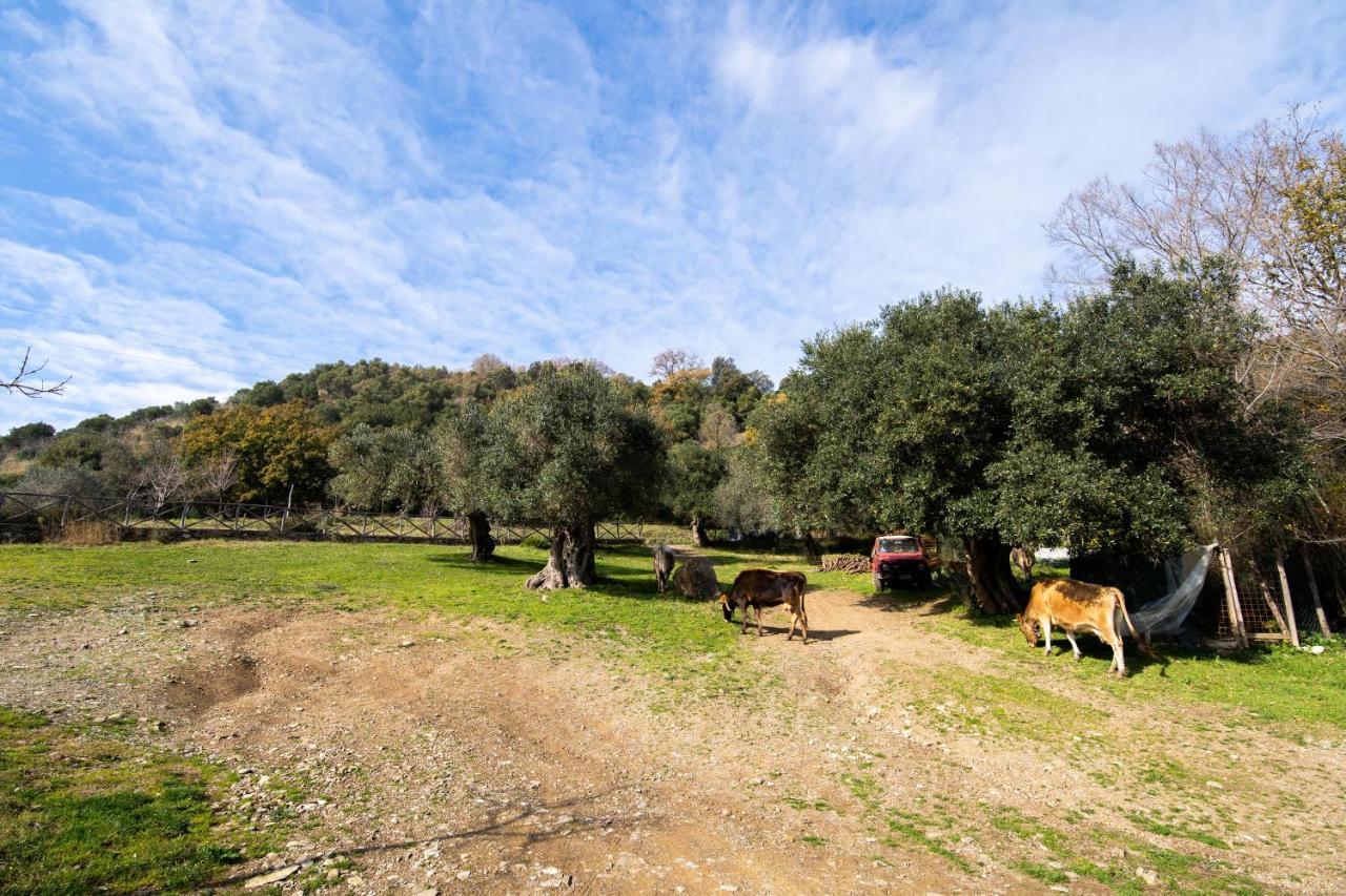 Agriturismo San Basilio Salento Экстерьер фото